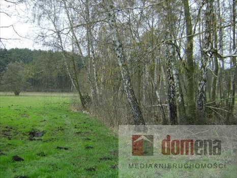Działka siedliskowa na sprzedaż Dormowo 9 300m2 Foto 4