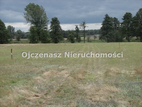 Działka rolna na sprzedaż Brzoza 3 013m2 Foto 1