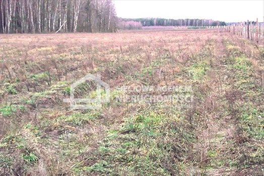 Działka leśna na sprzedaż Strzeczona 129 577m2 Foto 4
