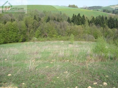 Działka budowlana na sprzedaż Nowy Sącz 2 600m2 Foto 4