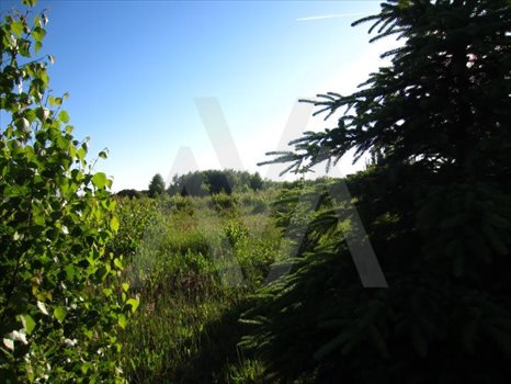 Działka budowlana na sprzedaż Małkowo, xxx 1 081m2 Foto 4
