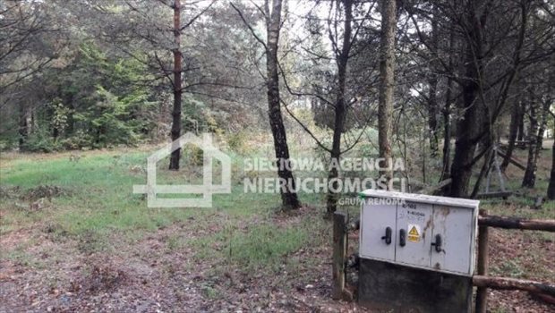 Działka budowlana na sprzedaż Gołubie 1 192m2 Foto 2