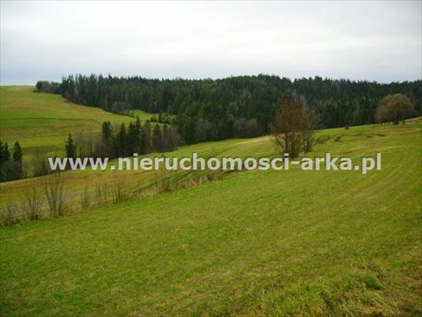 Działka rolna na sprzedaż Rabka-Zdrój 1 000m2 Foto 1