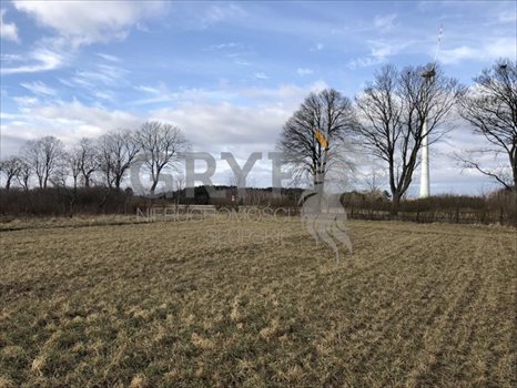 Działka inwestycyjna na sprzedaż Bierkowo 10 000m2 Foto 5