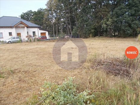 Działka budowlana na sprzedaż Jaszkowa Dolna 1 212m2 Foto 1