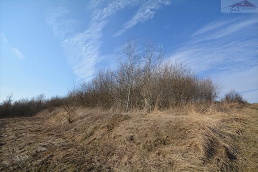 Działka rekreacyjna na sprzedaż Nozdrzec 3 023m2 Foto 10