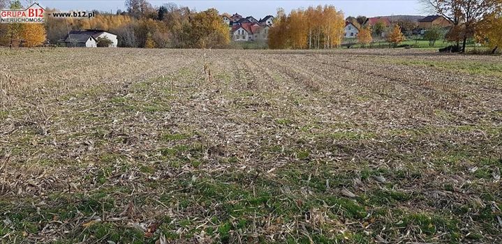 Działka budowlana na sprzedaż Koźmice Wielkie, Koźmice Wielkie, Koźmice Wielkie 1 200m2 Foto 3