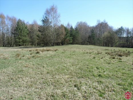 Działka budowlana na sprzedaż Kielno, Wiśniowa 1 002m2 Foto 1
