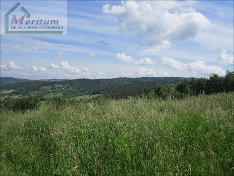 Działka budowlana na sprzedaż Nowy Sącz 26 700m2 Foto 1
