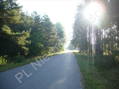 Działka budowlana na sprzedaż Przypki 20 000m2 Foto 5