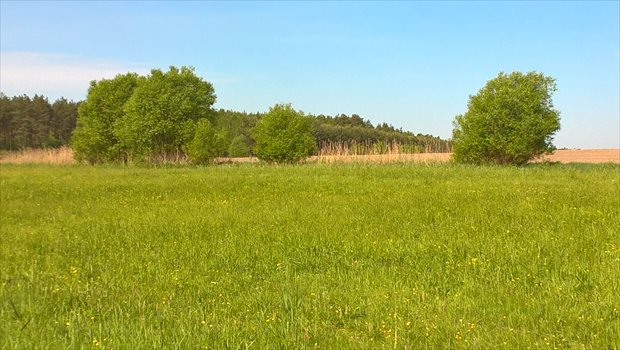 Działka budowlana na sprzedaż Bory Tucholskie, Nad Rzeką, Duże Krówno 47 4 973m2 Foto 4