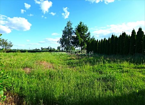 Dom na sprzedaż Nasutów 176m2 Foto 5