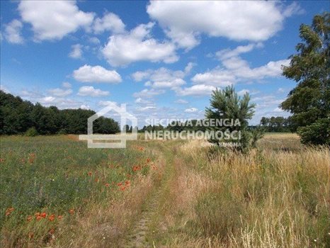 Działka rolna na sprzedaż Małe Swornegacie 4 792m2 Foto 4