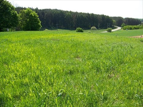 Działka budowlana na sprzedaż Smołdzino, Smołdzino, Kartuska 1 085m2 Foto 7