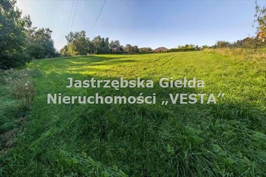 Działka inna na sprzedaż Jastrzębie-Zdrój 2 466m2 Foto 1