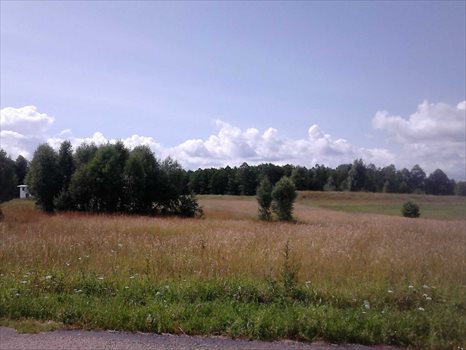 Działka budowlana na sprzedaż Pogorzelec 1 535m2 Foto 3