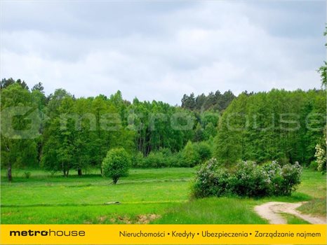 Działka siedliskowa na sprzedaż Pąchy, Miedzichowo 11 897m2 Foto 2