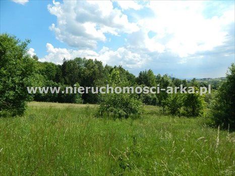 Działka budowlana na sprzedaż Kasina Wielka 1 500m2 Foto 2