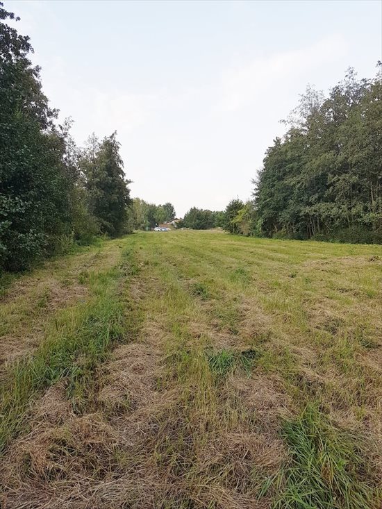 Działka budowlana na sprzedaż Słupno 7 100m2 Foto 8