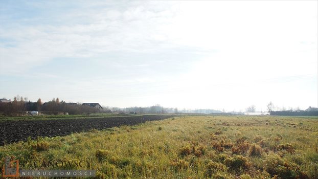 Działka budowlana na sprzedaż Zielonki 1 166m2 Foto 3