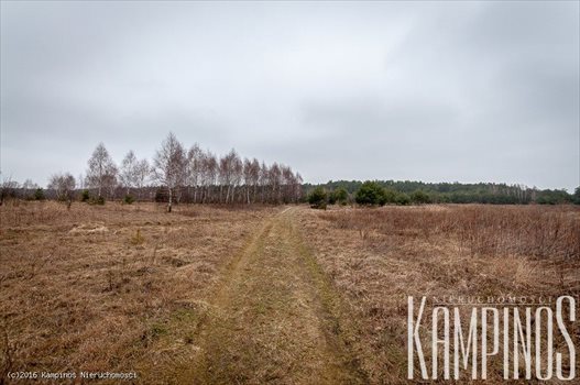 Działka rolna na sprzedaż Zalesie, Stare Babice, oferta 2392 11 700m2 Foto 3