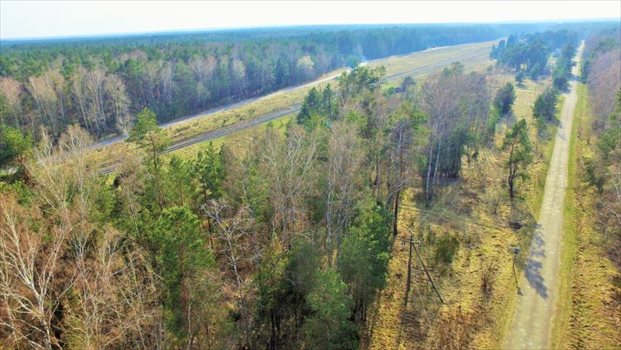 Działka inwestycyjna pod dzierżawę Czerwony Bór 10 000m2 Foto 7