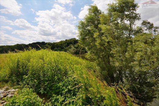 Działka rekreacyjna na sprzedaż Bachórzec 3 600m2 Foto 7