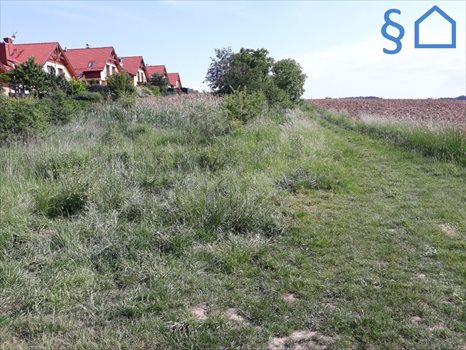 Działka budowlana na sprzedaż Węgrzce 2 600m2 Foto 3