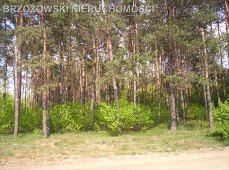 Działka budowlana na sprzedaż Józefów, Wiązowska 2 256m2 Foto 3