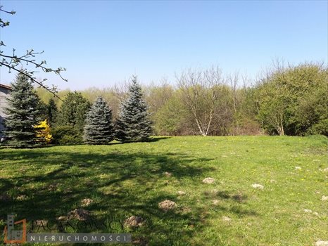 Działka budowlana na sprzedaż Dziekanowice 800m2 Foto 3