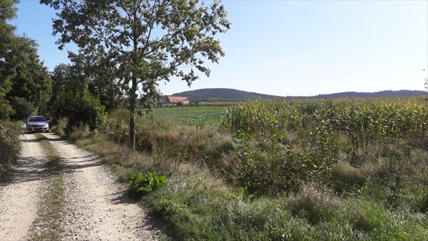 Działka budowlana na sprzedaż Będkowice 802m2 Foto 6