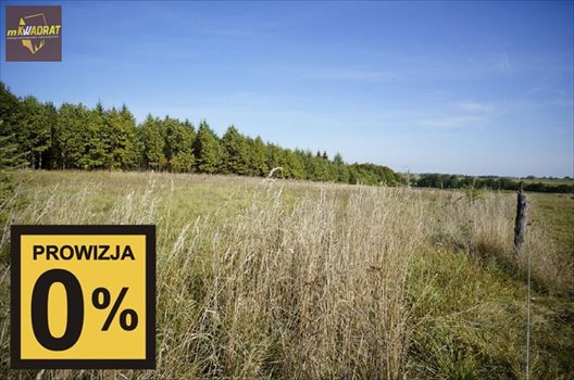 Działka inna na sprzedaż Guzki 11 910m2 Foto 6