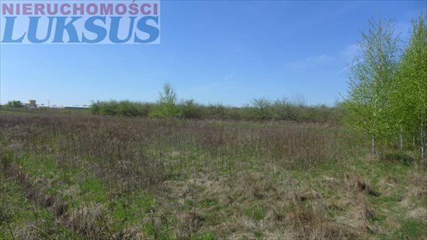 Działka budowlana na sprzedaż Grzędy 1 717m2 Foto 3