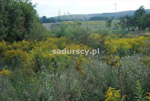 Działka budowlana na sprzedaż Balice, Krakowska 4 200m2 Foto 6