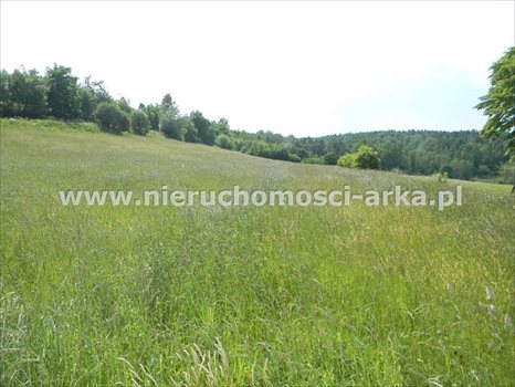 Działka rolna na sprzedaż Stare Rybie 8 600m2 Foto 3