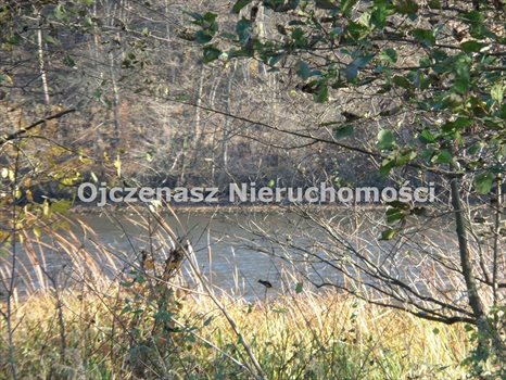 Lokal użytkowy na sprzedaż Gościeradz 127 980m2 Foto 2