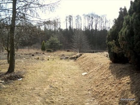Działka inna na sprzedaż Brzozówka 3 500m2 Foto 2
