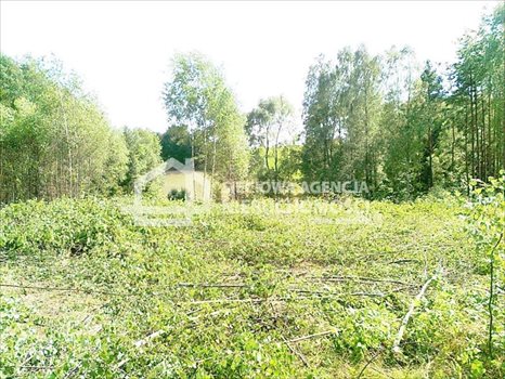 Działka rekreacyjna na sprzedaż Gołubie 1 360m2 Foto 8