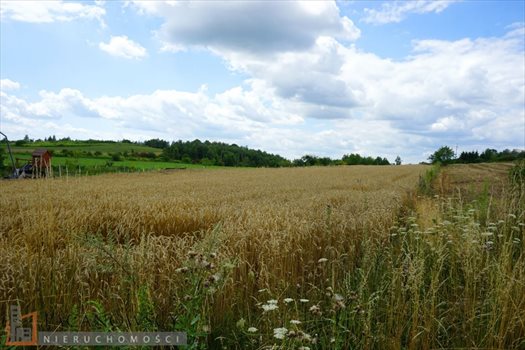Działka budowlana na sprzedaż Bębło 2 900m2 Foto 1