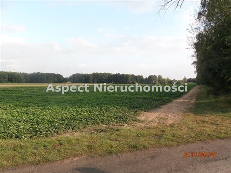 Działka rolna na sprzedaż Pamiętna 74 900m2 Foto 2