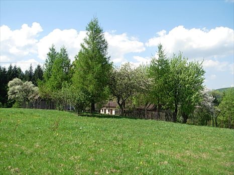 Dom na sprzedaż Porąbka 110m2 Foto 17