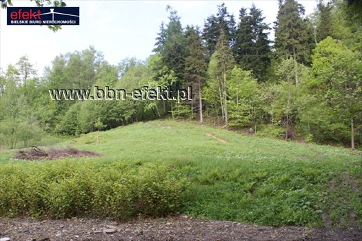 Działka rekreacyjna na sprzedaż Kozy 1 600m2 Foto 1