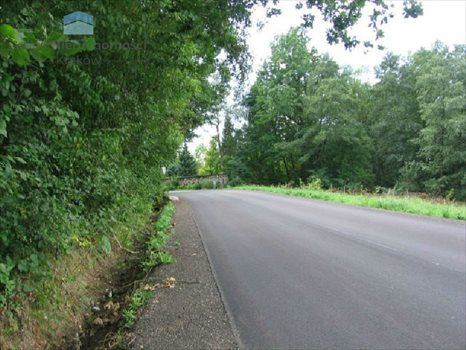 Działka inna na sprzedaż Konary, Brzegi 6 800m2 Foto 6