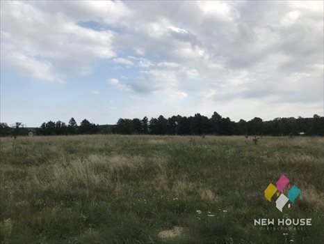 Działka budowlana na sprzedaż Międzylesie 1 473m2 Foto 11