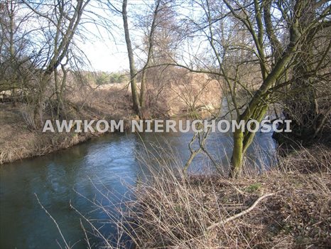 Działka budowlana na sprzedaż Skierniewice, Ruda 4 600m2 Foto 5