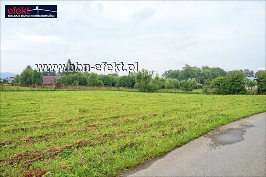 Działka budowlana na sprzedaż Rybarzowice 3 300m2 Foto 2