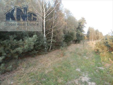Działka budowlana na sprzedaż Sulejów 859m2 Foto 4