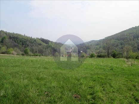 Działka budowlana na sprzedaż Pieszyce, Rościszów 3 000m2 Foto 2