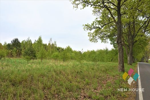 Działka rolna na sprzedaż Jemiołowo 8 377m2 Foto 2