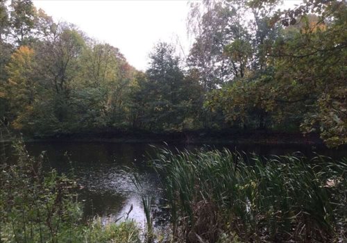 Dom na sprzedaż Zygry 1 400m2 Foto 4